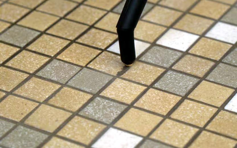GoodwayProX Steam Cleaner Cleaning Grout
